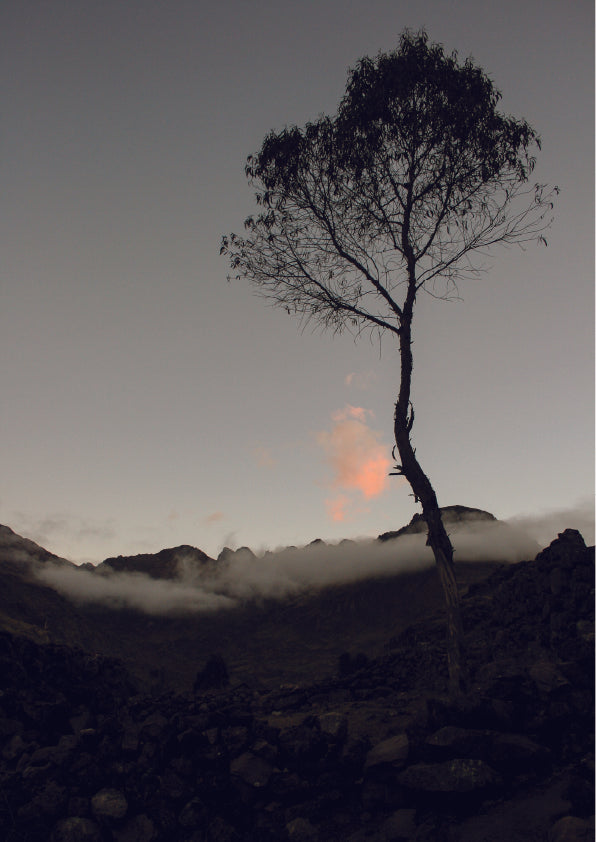 Incan (Photographic Print)