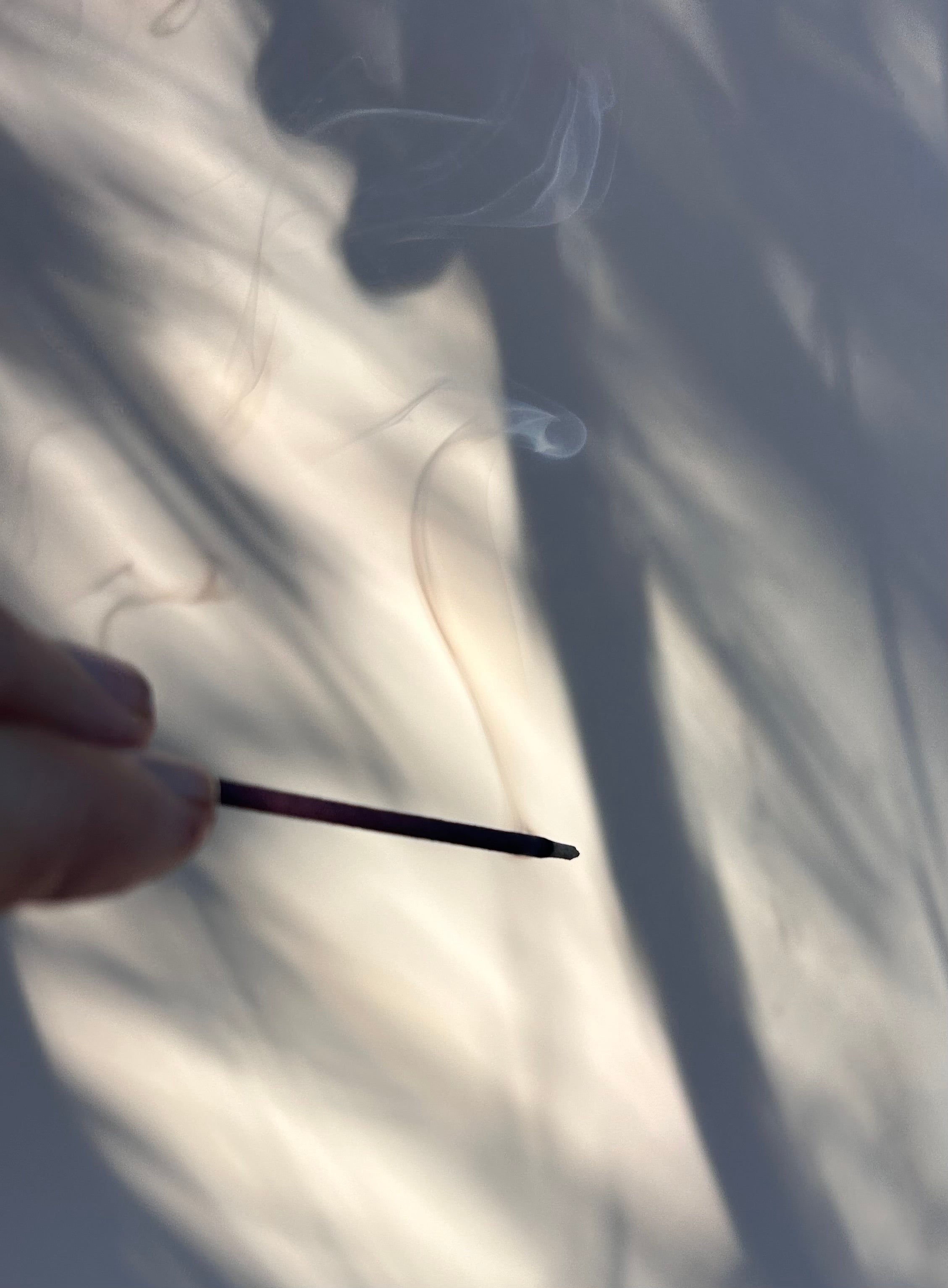 Shoyeido Kyogosai/Horin Stick Assortment (20 sticks)