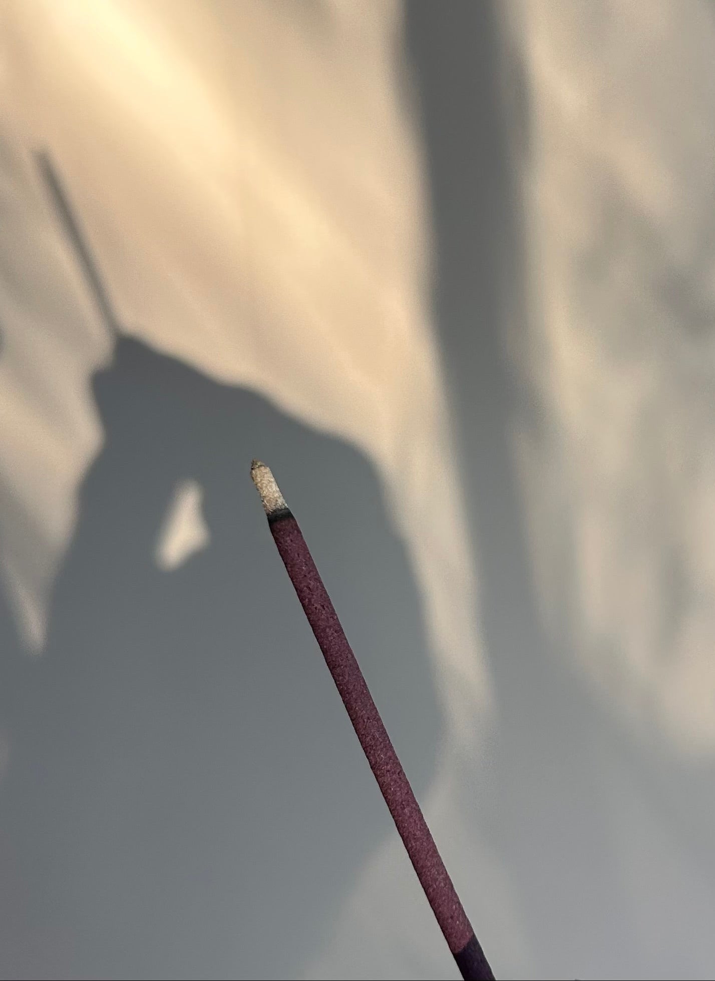 Shoyeido Kyogosai/Horin Stick Assortment (20 sticks)